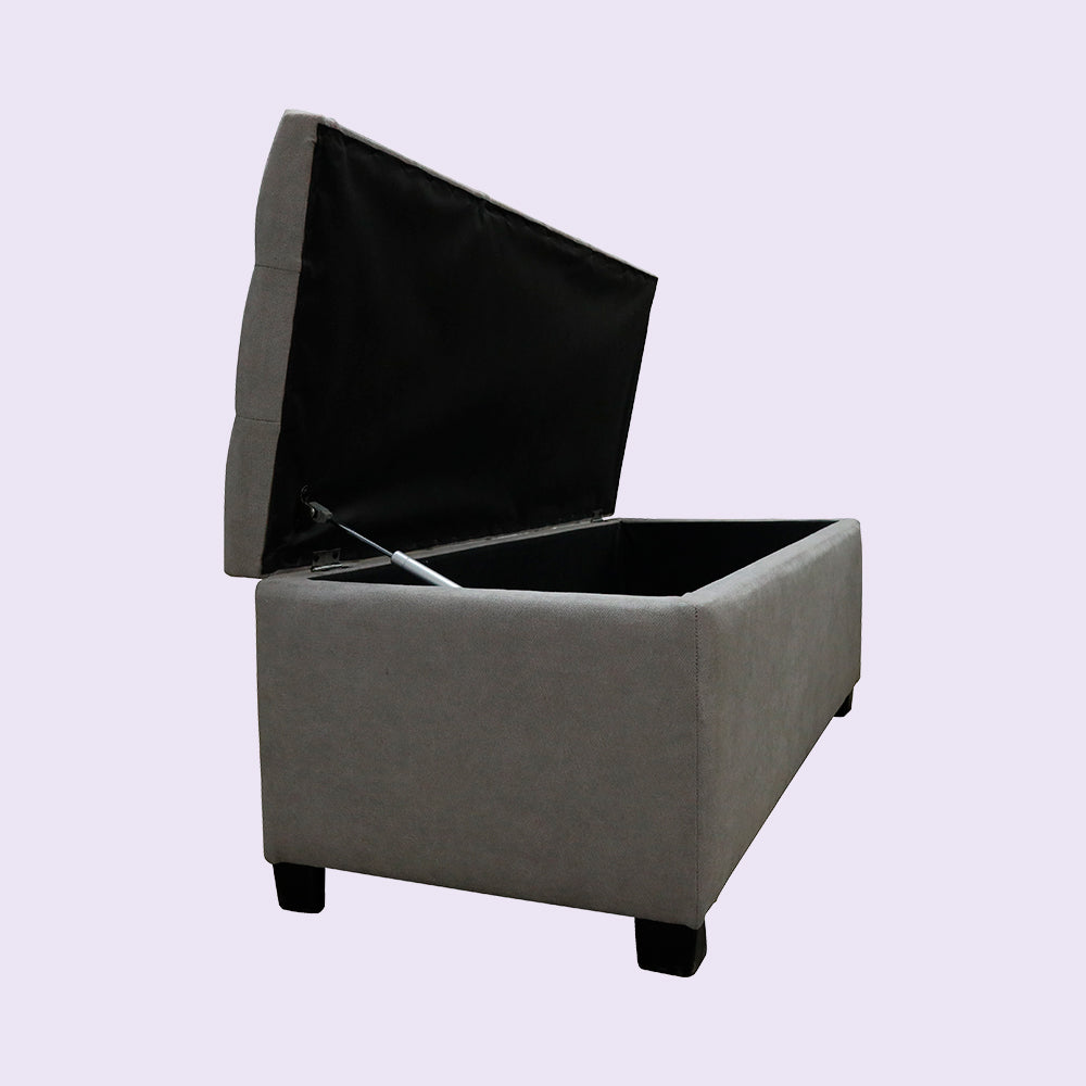 ZIVA Dreamchest Silver