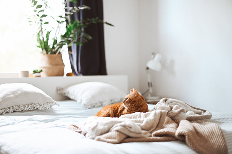 5 Consejos para dormir bien